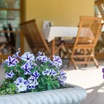 Regia Panzio Bed & Breakfast Halaszi
