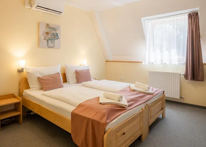 Regia Panzio 3* Halászi